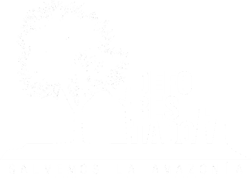Logo juego deforestación